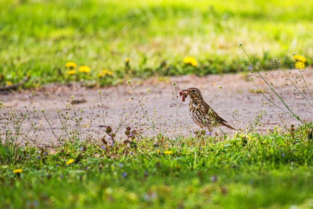Prázdninové byty u kamaráta Habovka Extérieur photo